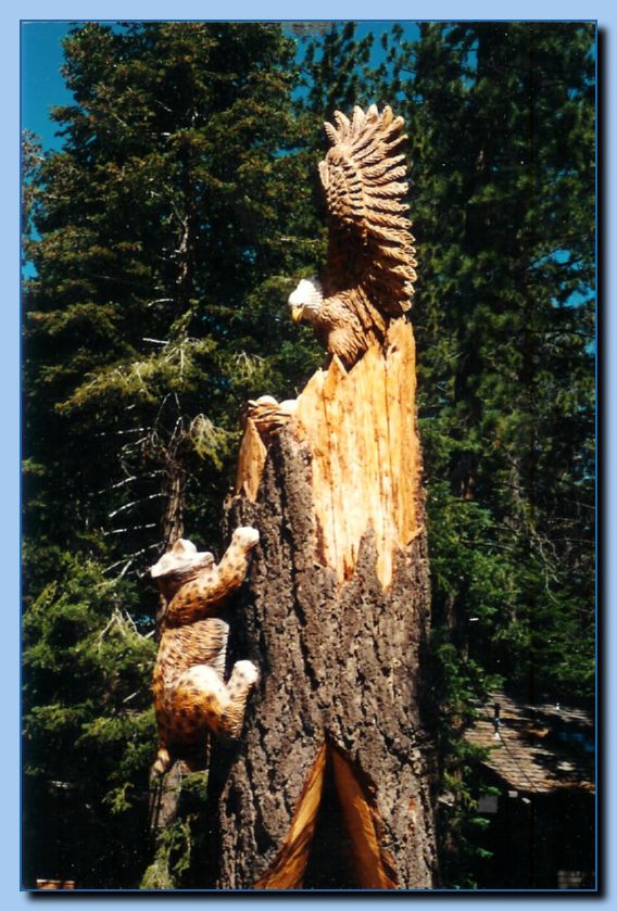 2-17 eagle with wings up, attached-archive-0001